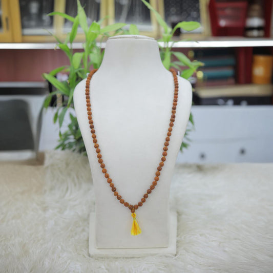 Normal Rudraksha Brown